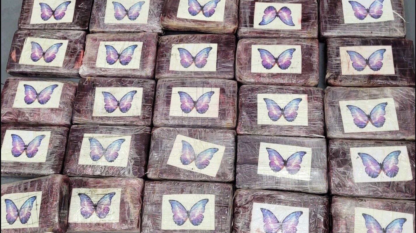 F1zb8dvXsAMWvu9_rvt2ih