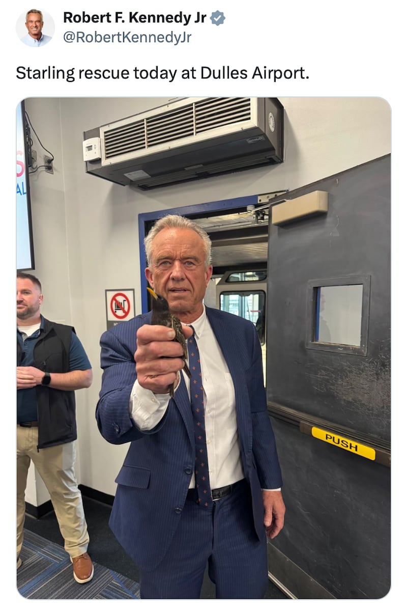 Robert F. Kennedy Jr. posts a photo of himself with a starling at Dulles Airport.