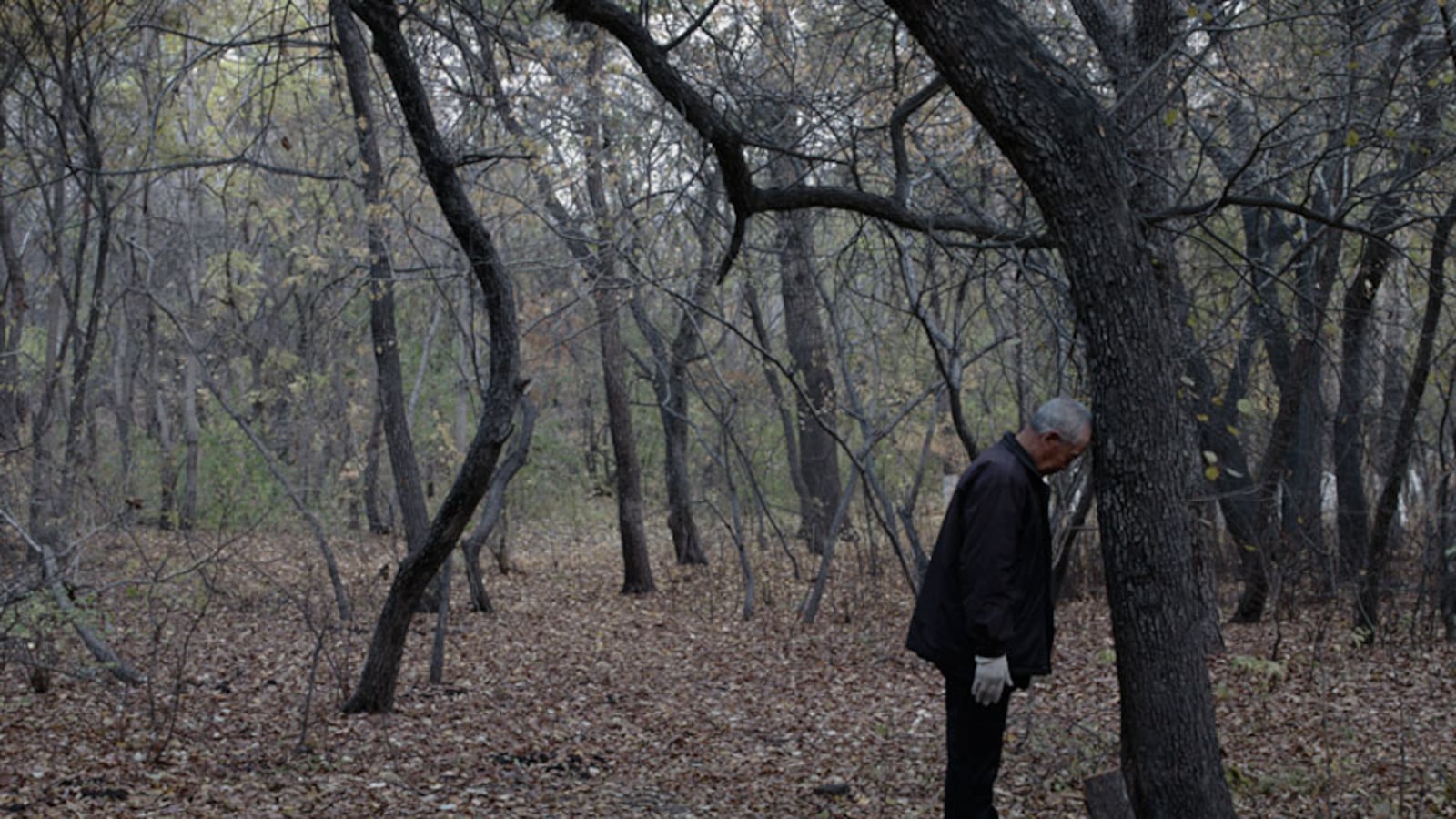 galleries/2011/01/19/hai-bo/hai-bo-3_sv0egn