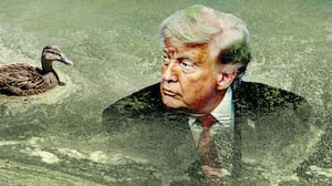 Donald Trump with a duck in the reflecting pool algae