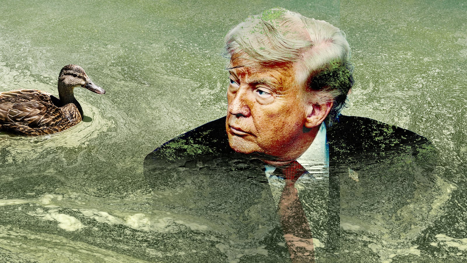 Donald Trump with a duck in the reflecting pool algae