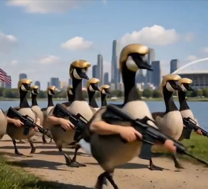 Donald Trump's army of Trump geese.