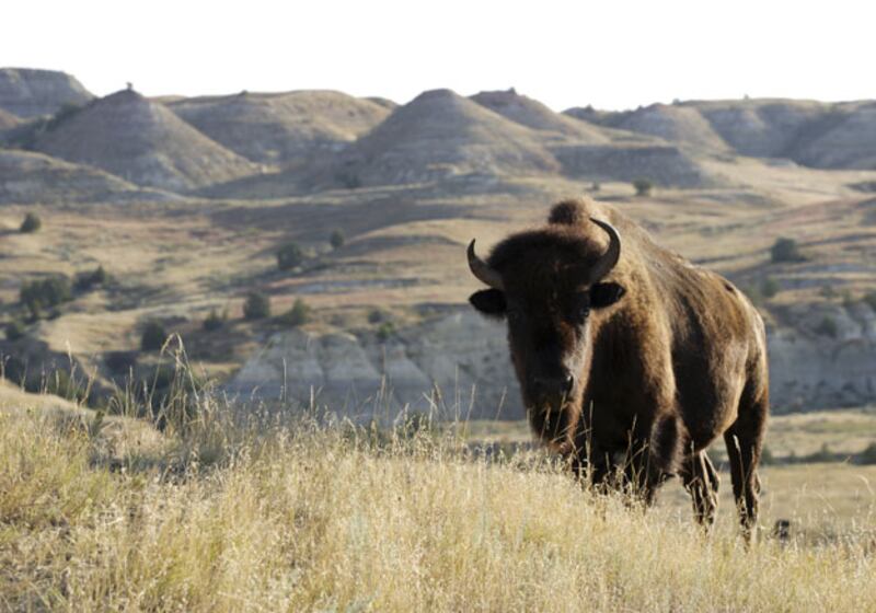 galleries/2010/06/14/50-states-in-debt/the-most-corrupt-states---26-north-dakota_urutpt