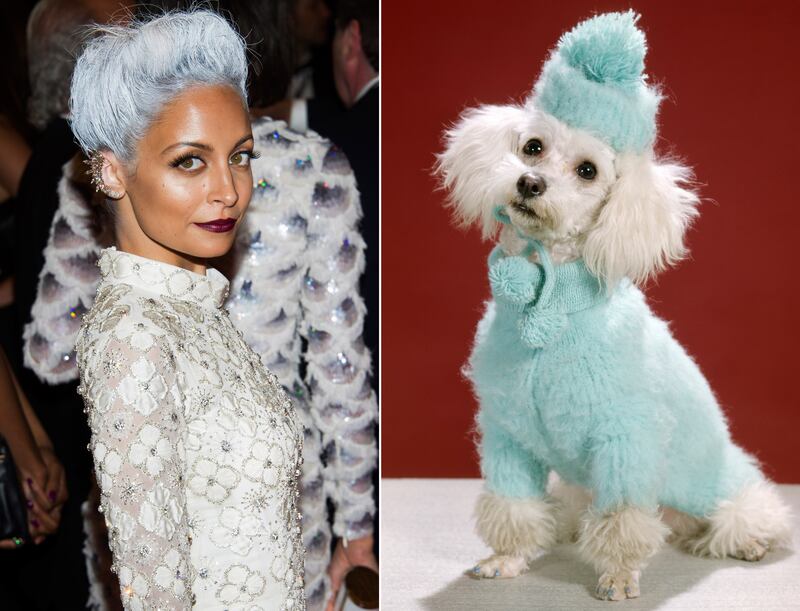 galleries/2013/05/07/met-gala-2013-guests-who-looked-like-animals/130507-gal-gala-animal-richie_ucpte2