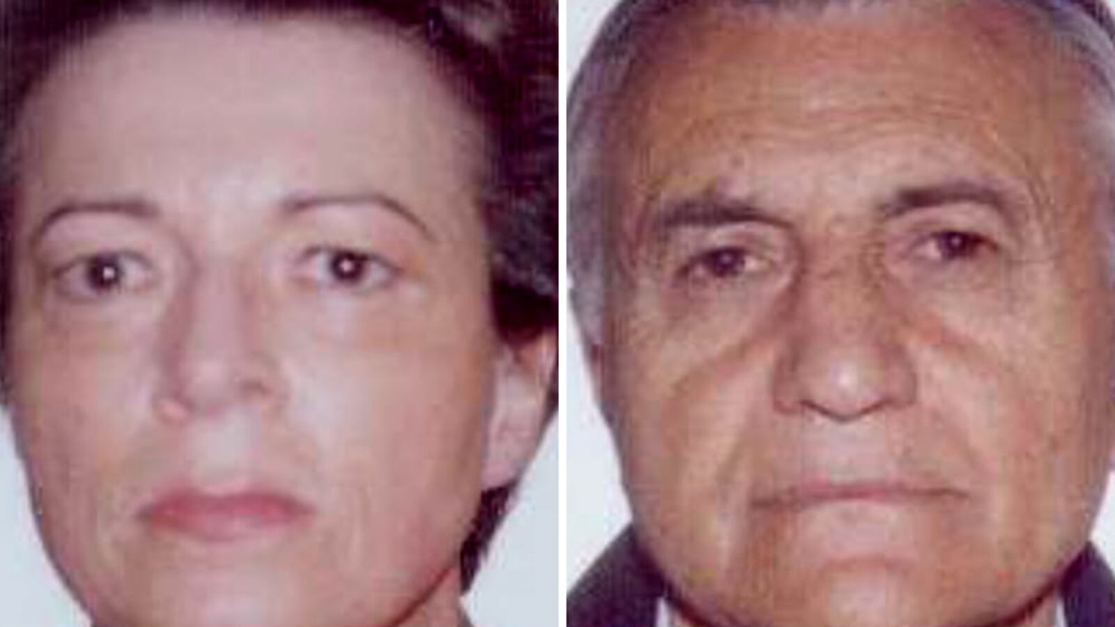 Brescia_Court_Handout_maozjf