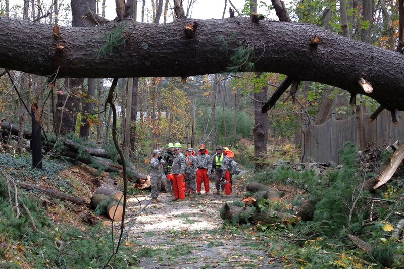 articles/2012/11/05/lights-out-in-westchester-new-york/westchester-country-dark-jones_w2dixf