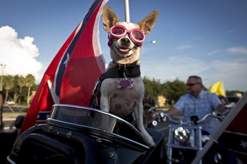 galleries/2015/06/27/confederate-flag-rally-ride-for-pride-photos/150627-confederate-pride-04_bmwuhy