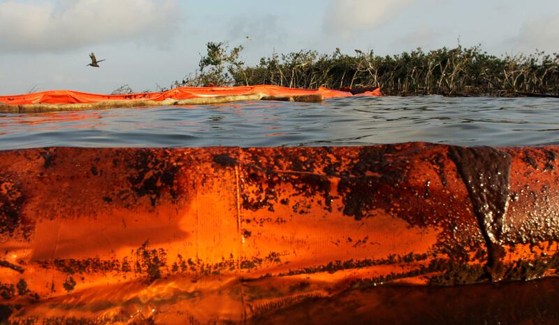 galleries/2010/09/03/summer-2010-in-photos/summer-in-photos---oil_sitvxv