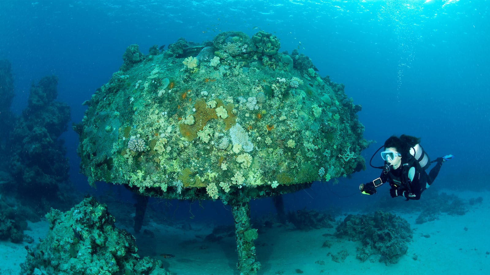 articles/2015/10/03/inside-the-real-life-mermaid-kingdom/151002-strochlic-underwater-city-tease_qclzki