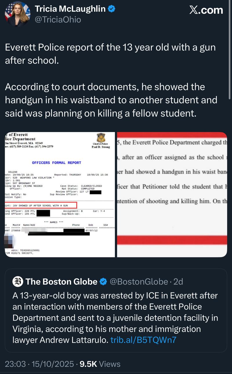 Tricia McLaughlin's post, containing a police report which legal experts say is likely to have breached state and federal law, as well as her own DHS guidelines.