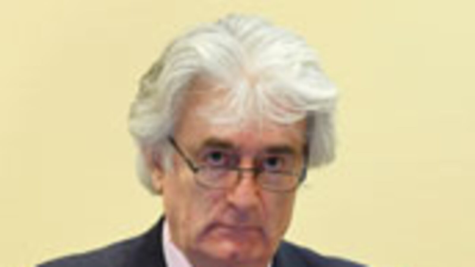 articles/2010/03/05/survivor-of-the-genocide/comiteau-karadzic_60501_ynalqo