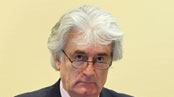 articles/2010/03/05/survivor-of-the-genocide/comiteau-karadzic_60501_ynalqo