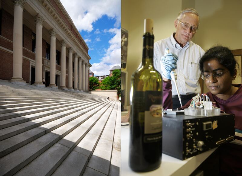 galleries/2010/09/06/hot-college-courses/dzieza-hot-college-course---harvard-cooking_f6xdc6