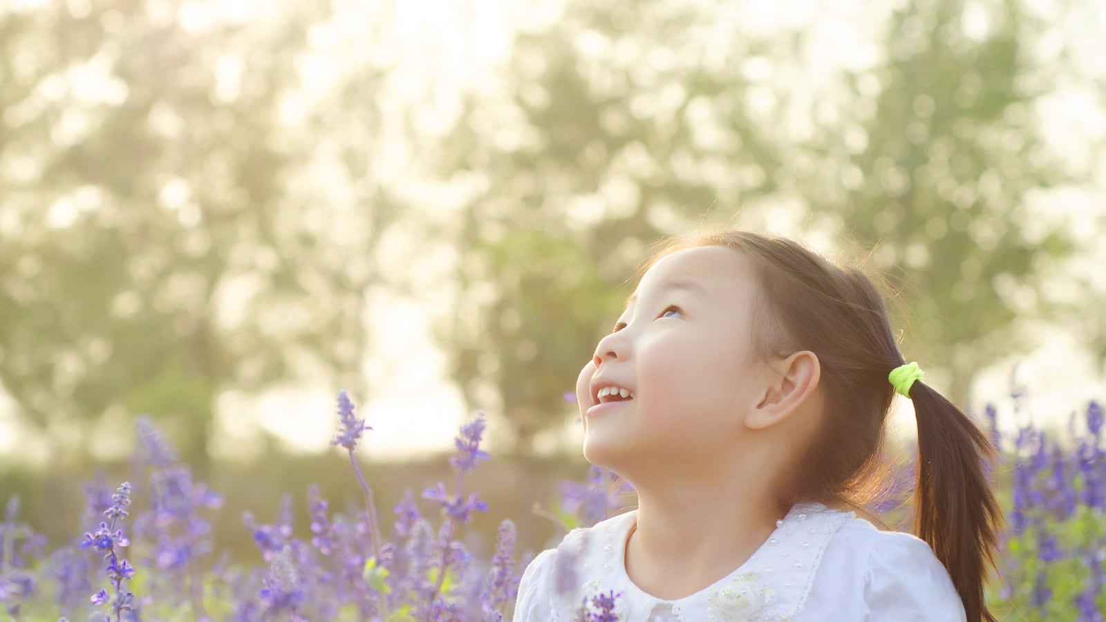 articles/2014/10/22/magical-gardens-for-the-blind-deaf-and-disabled/141020-picciuto-garden-tease_npyprn