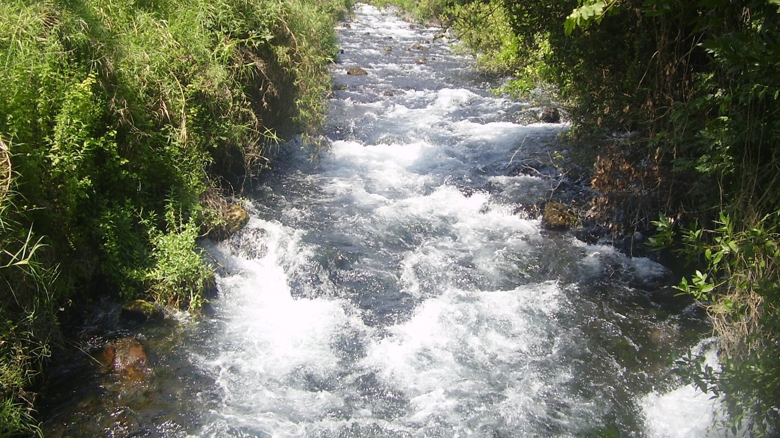 DanRiver_lghqkg