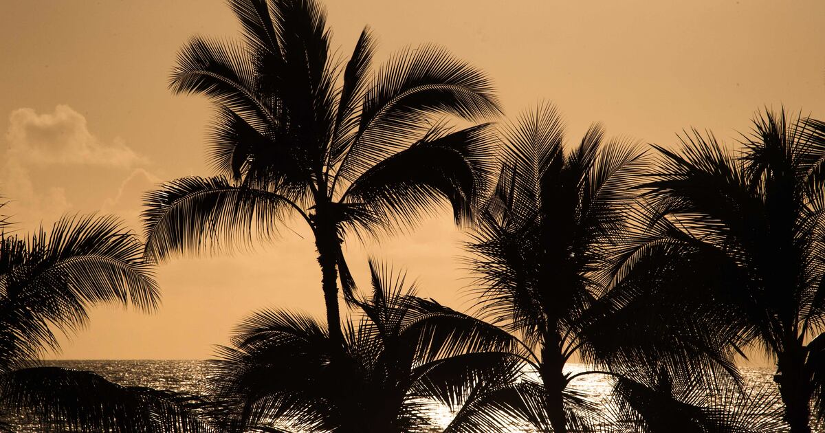 Newborn Girl Found Alive In Honolulu Trash Bin newborn-girl-found-alive-in-honolulu-trash-bin