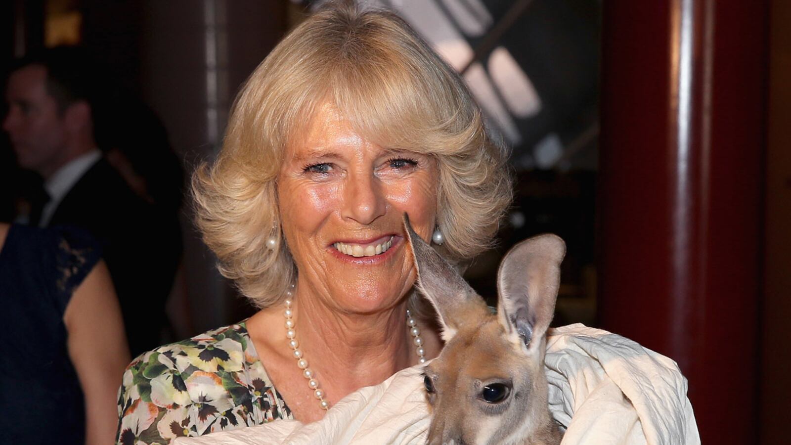 articles/2012/11/05/camilla-cuddles-a-roo/camilla-roo_v6o9fq