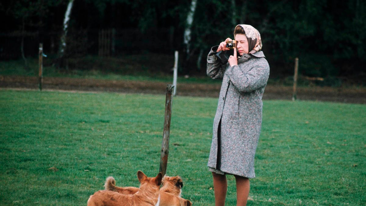 galleries/2012/08/06/queen-elizabeths-corgis-a-brief-history-photos/queen-elizabeth-corgis-4_lax2t1