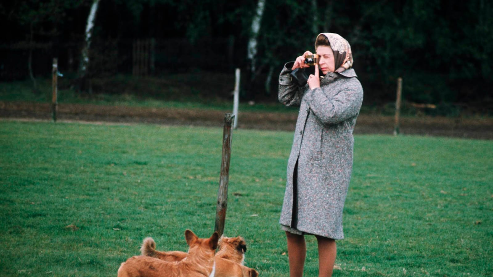 galleries/2012/08/06/queen-elizabeths-corgis-a-brief-history-photos/queen-elizabeth-corgis-4_lax2t1