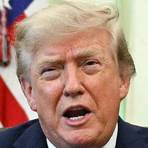 Comparison of Trump's hair.