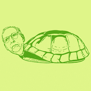 Mitch McConnell as a tortoise