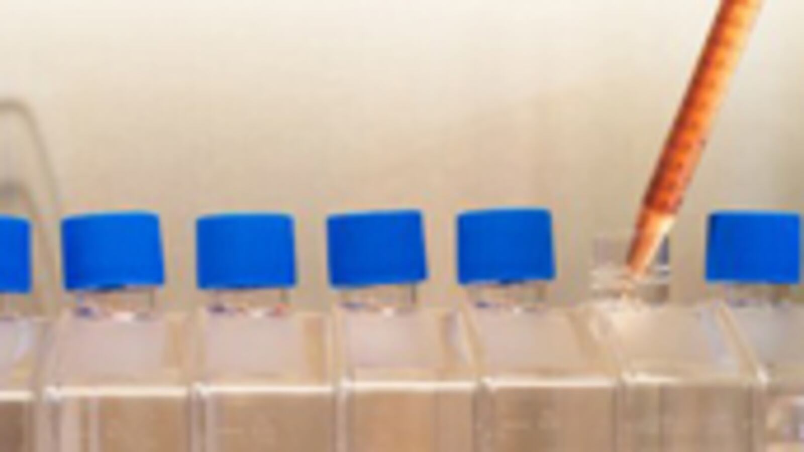 articles/2008/11/26/how-scientists-thwarted-bush-on-stem-cell-research/bush-stem-cells_6148_d50eqc