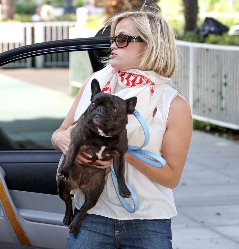 galleries/2013/02/01/ben-affleck-s-dog-and-more-celebrity-pets-with-famous-names-photos/reese-witherspoon-celeb-dog-names_h1soyf