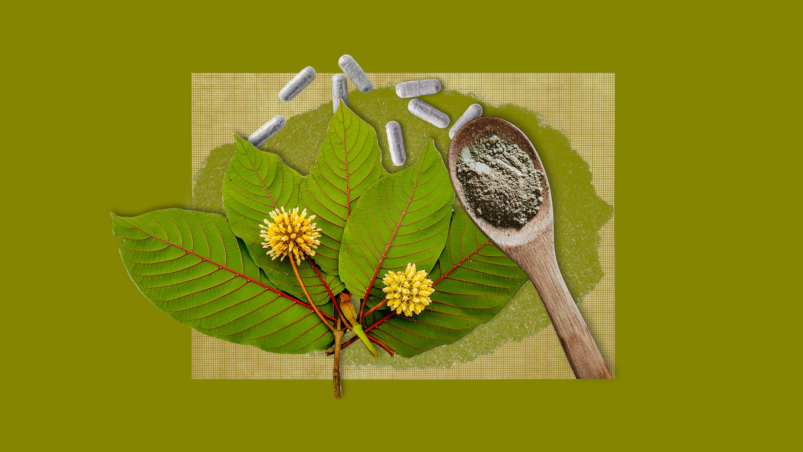 230228-kratom-opioid-tease_flwljj