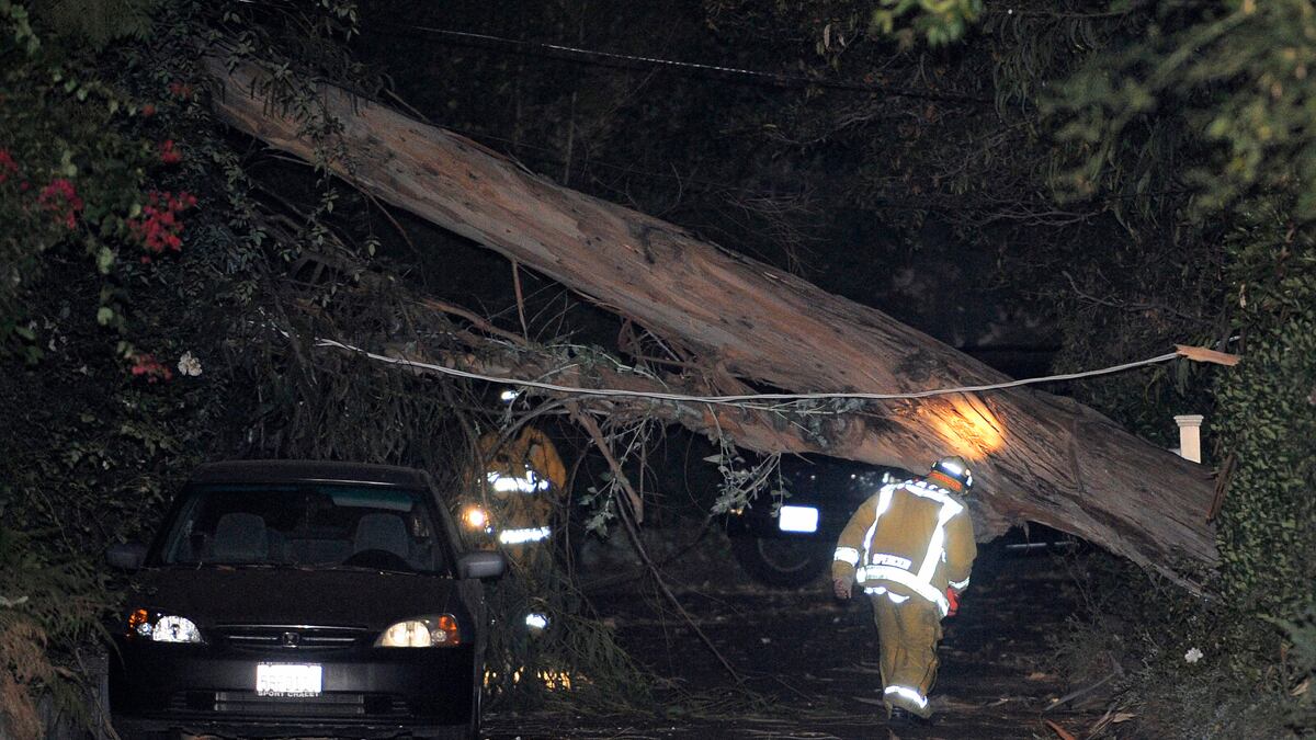 cheats/2011/12/01/fierce-winds-leave-250k-without-power/santa-ana-california-high-winds-power-outage-cs_zfgnqq