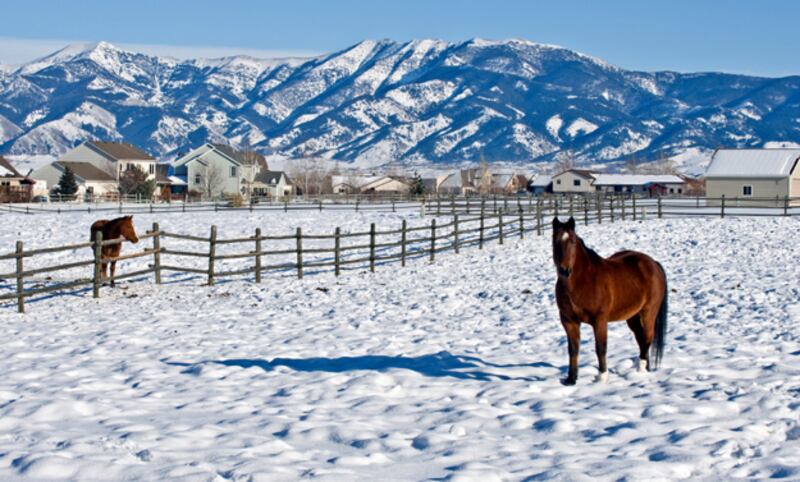 galleries/2010/12/10/america-s-25-coldest-cities/coldest-cities---bozeman_ycomy1