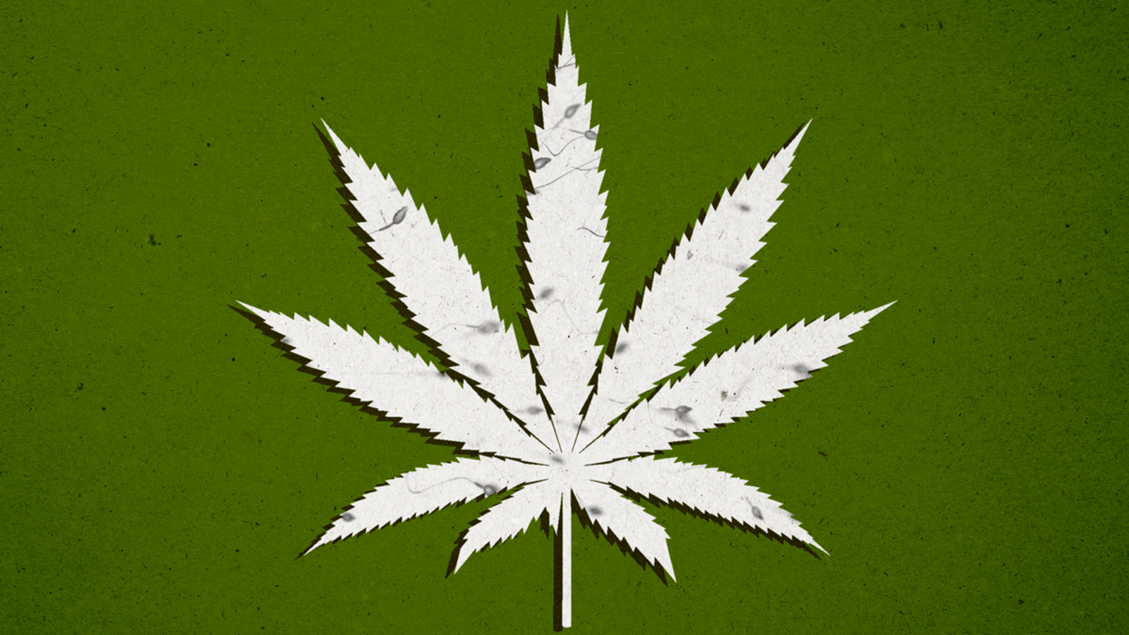 190205-almendrala-marijuana-sperm-count-hero_sl6ea3