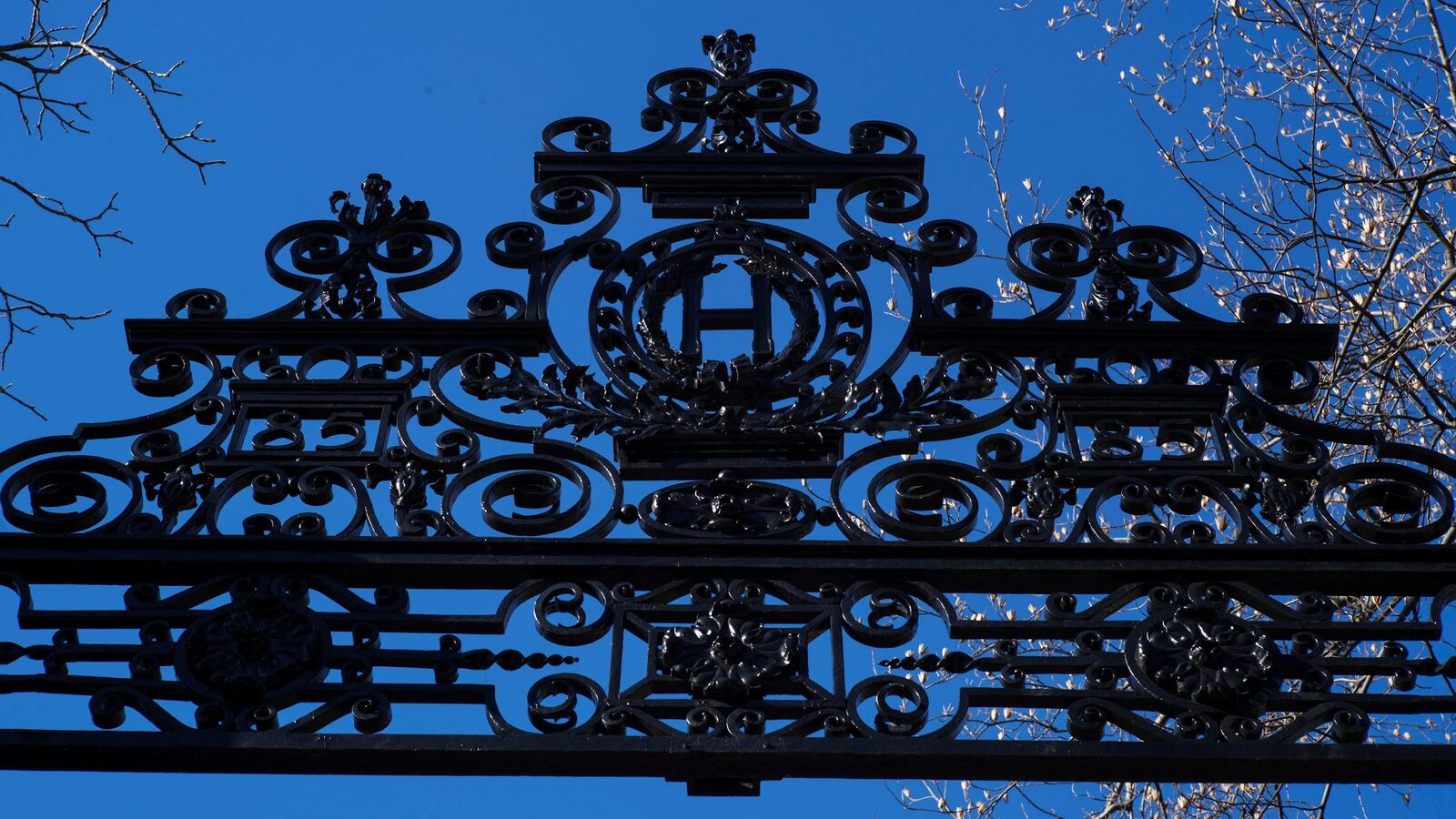 2022-01-24T144442Z_972404218_RC2Q5S97UNPL_RTRMADP_3_USA-COURT-RACE_tctek5