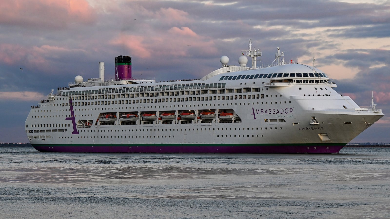 cruise