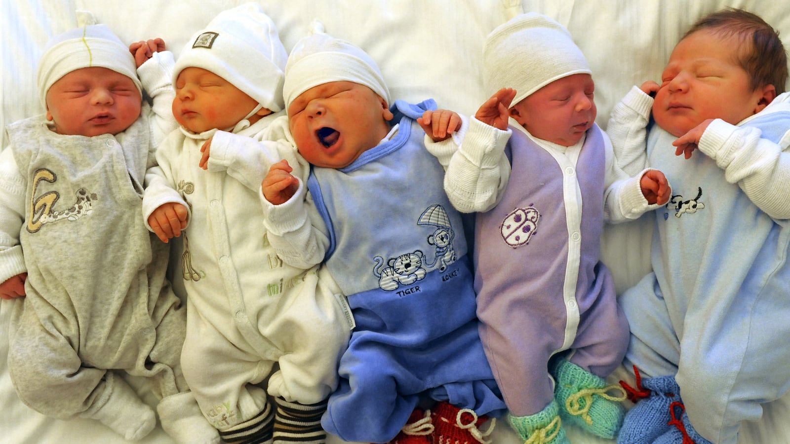 articles/2013/03/07/conservatives-should-and-must-support-policies-of-pro-natalism/conservatives-should-and-must-support-policies-of-pro-natalism-image_m7sngj