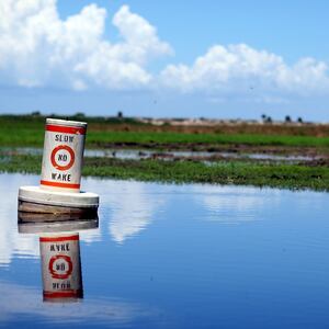 GettyImages-75288837_d22a62