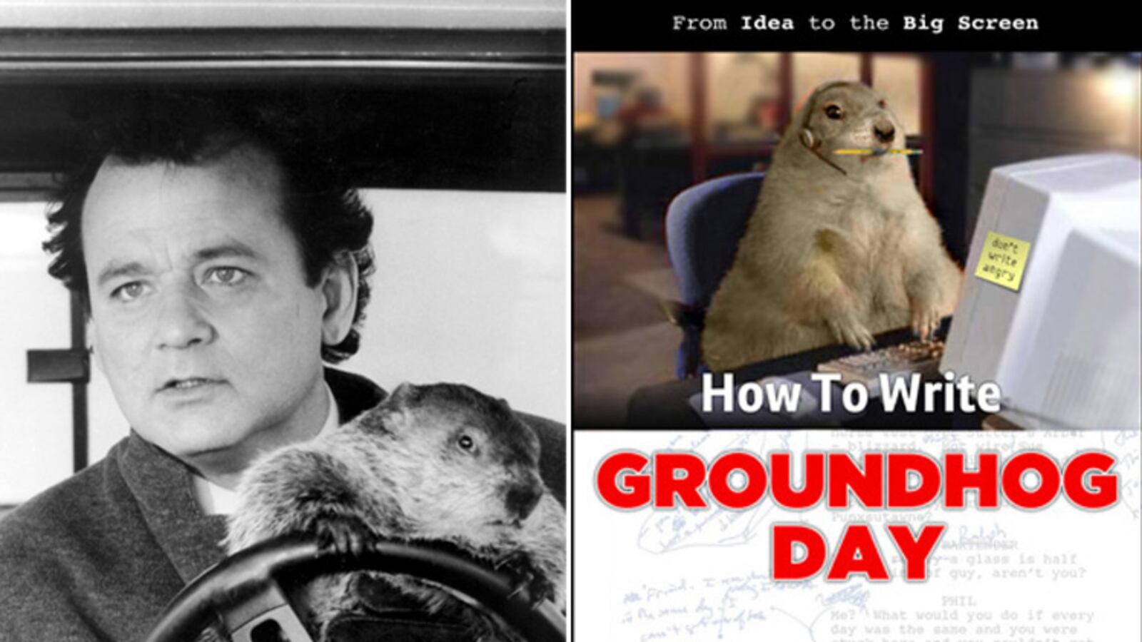 articles/2012/10/20/a-top-hollywood-screenwriter-lays-down-his-10-rules-for-your-script/groundhog-bill-murray-bb_qmephk