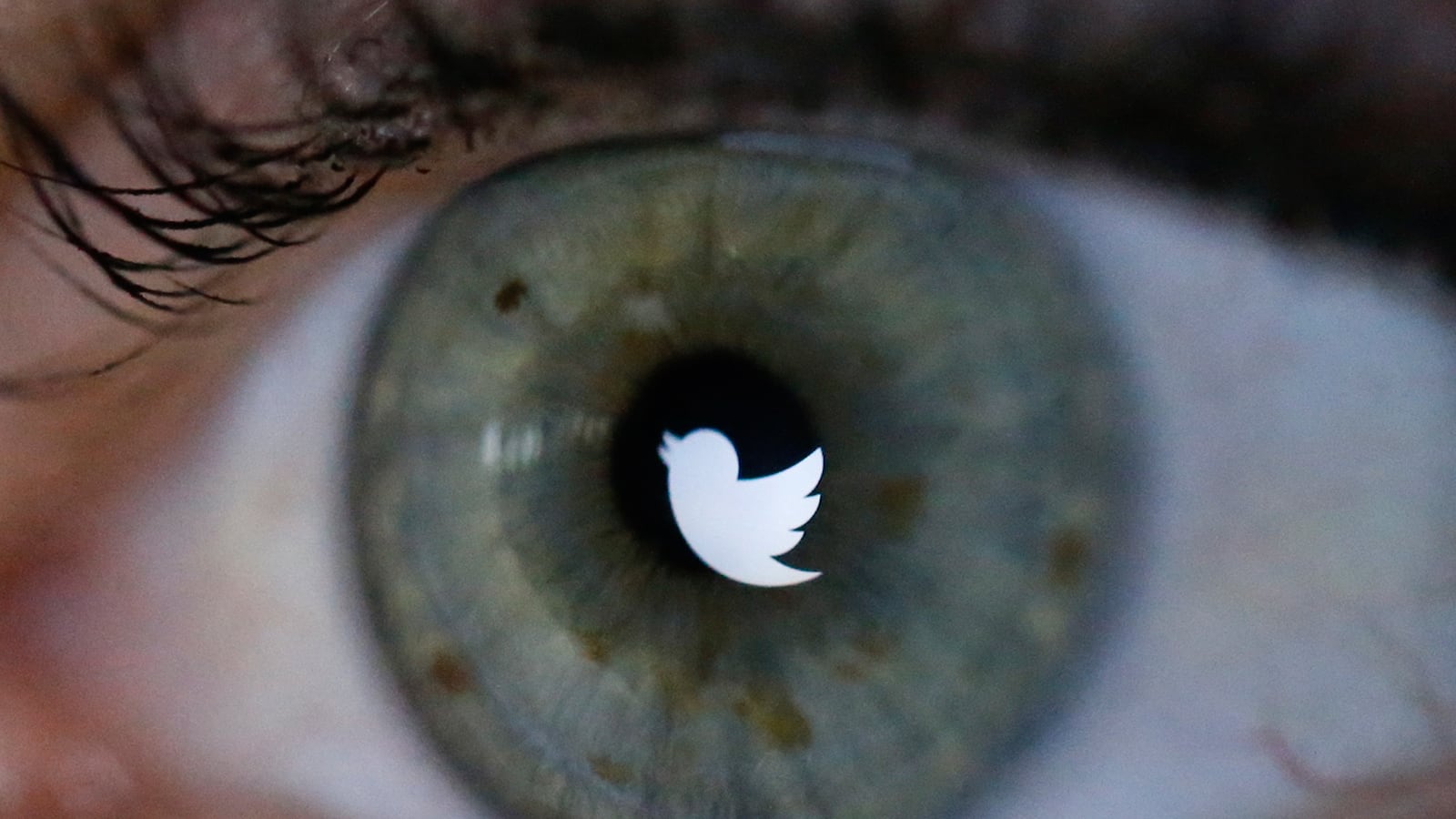 articles/2014/11/18/trails-the-tool-that-tracks-truth-and-lies-on-twitter/141118-zadrozny-twitter-tease_dzyqwr