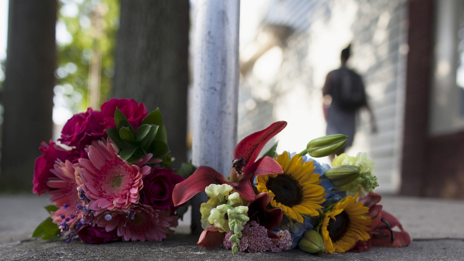 galleries/2015/06/18/remembering-the-victims-of-emanuel-african-methodist-episcopal-church-photos/15061-sc-victims-tease_aefmvt