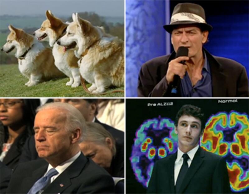 articles/2011/04/15/anderson-coopers-snooki-rant-joe-biden-naps-more-viral-videos/wivv-415-gal-launch_etihpl