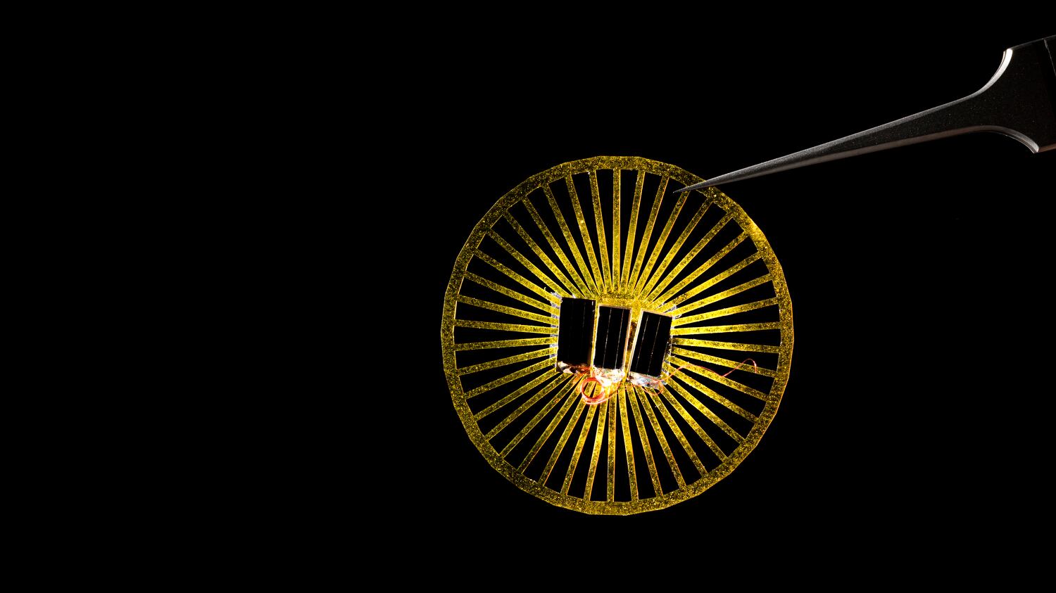 DandelionSensorsWEB002_ozfi8j