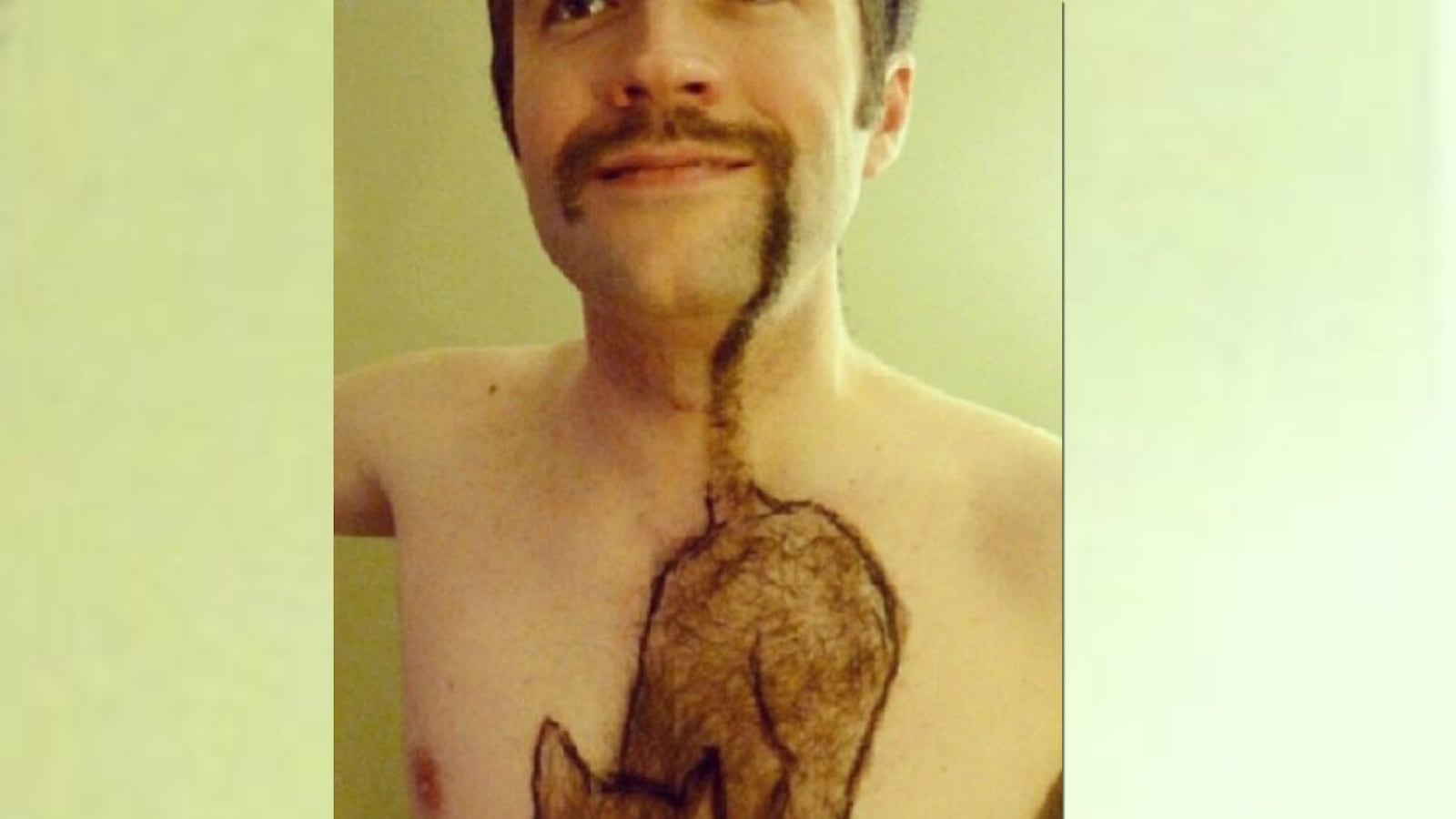 cheats/2013/12/07/attention-cat-shaped-chest-hair/131205-cat-beard-weird_jg0zhv