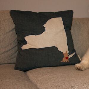 180310-piedra-insta-dogs-winston-1-hero_j44tr8