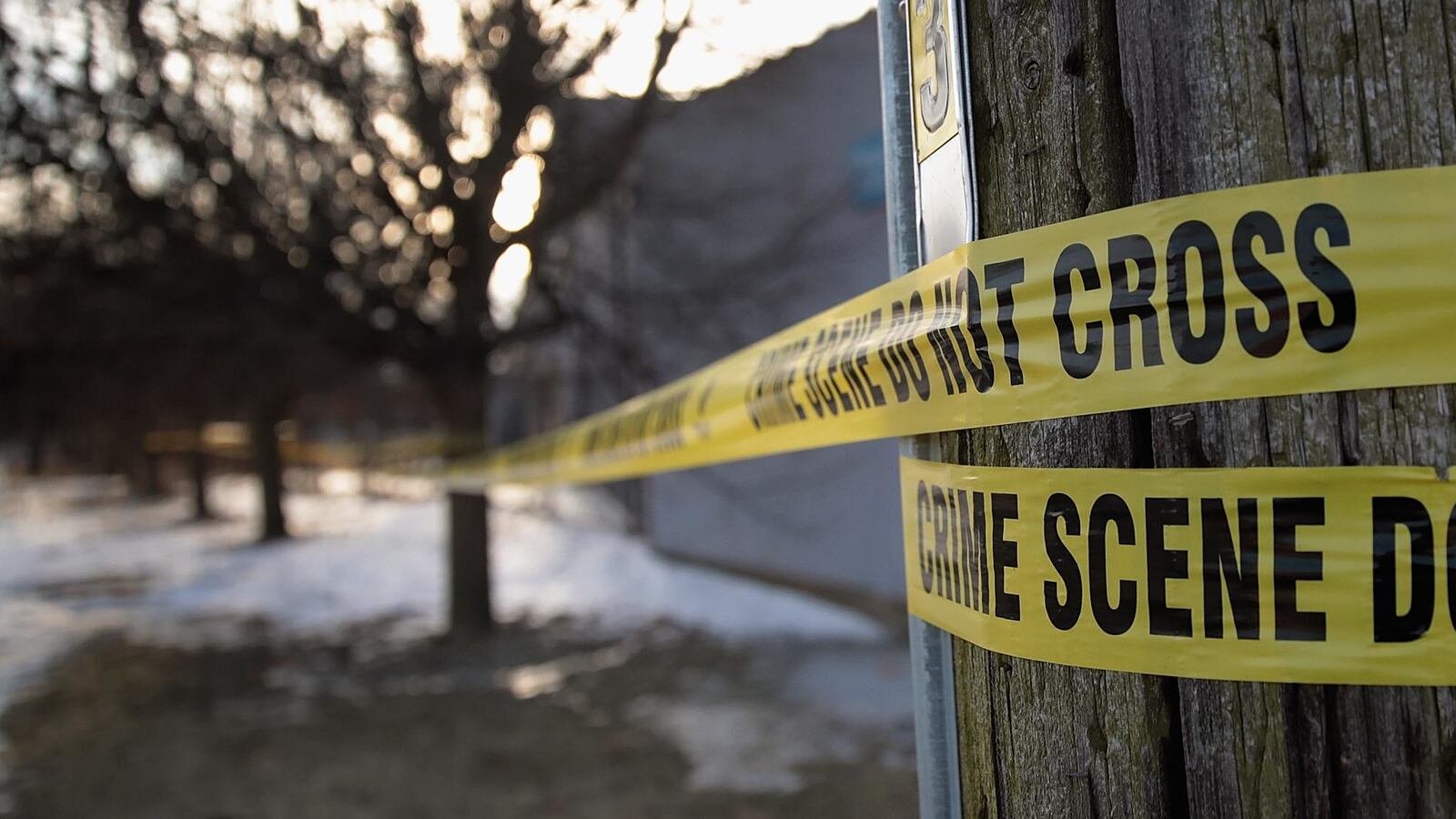 GettyImages-1130099704_ckig1z