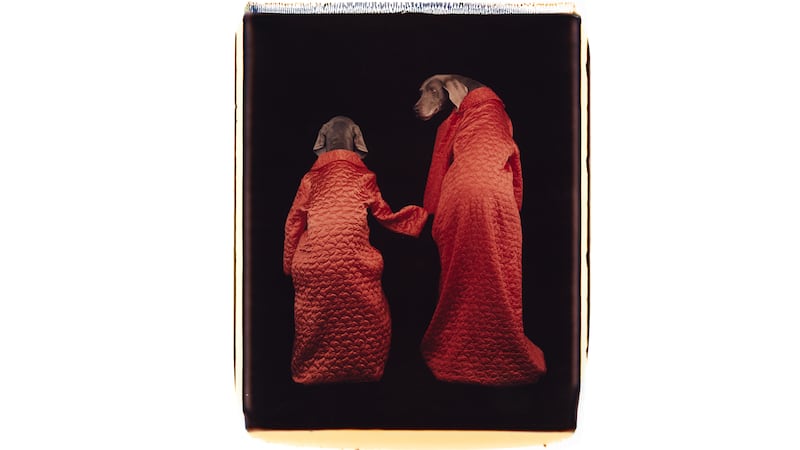 170929-05027_-_On_the_Way_gcau0n