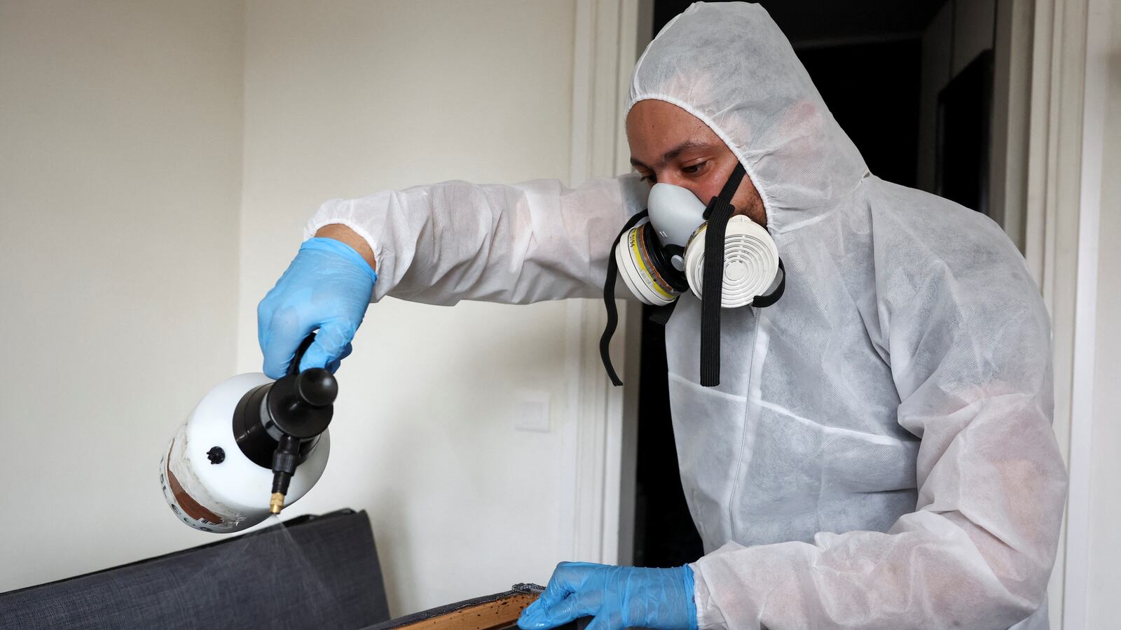 A biocide technician sprays insecticide to kill bedbugs on a sofa bed near Paris.