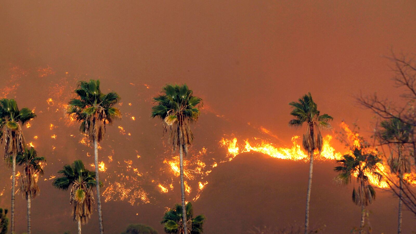 cheats/2014/01/17/gov-calls-drought-emergency-in-ca/140117-wildfire-cheat_ozikcq