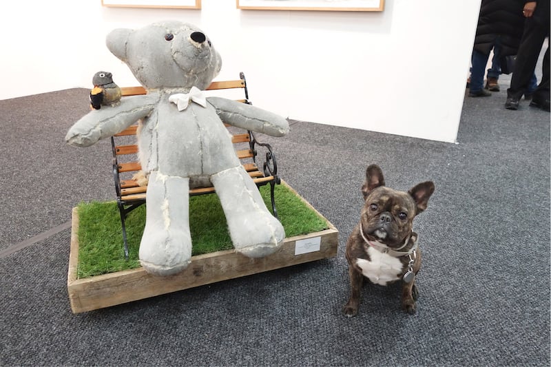 articles/2015/03/10/meet-pickle-the-art-world-s-favorite-canine-blogger/150309-pickles-art8_rsqecf