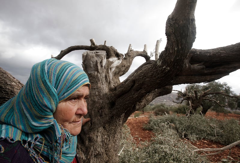 articles/2013/10/31/settler-violence-think-of-it-like-burning-down-a-jewish-business/185345462_joesv9