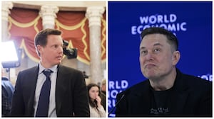 Ellison, musk