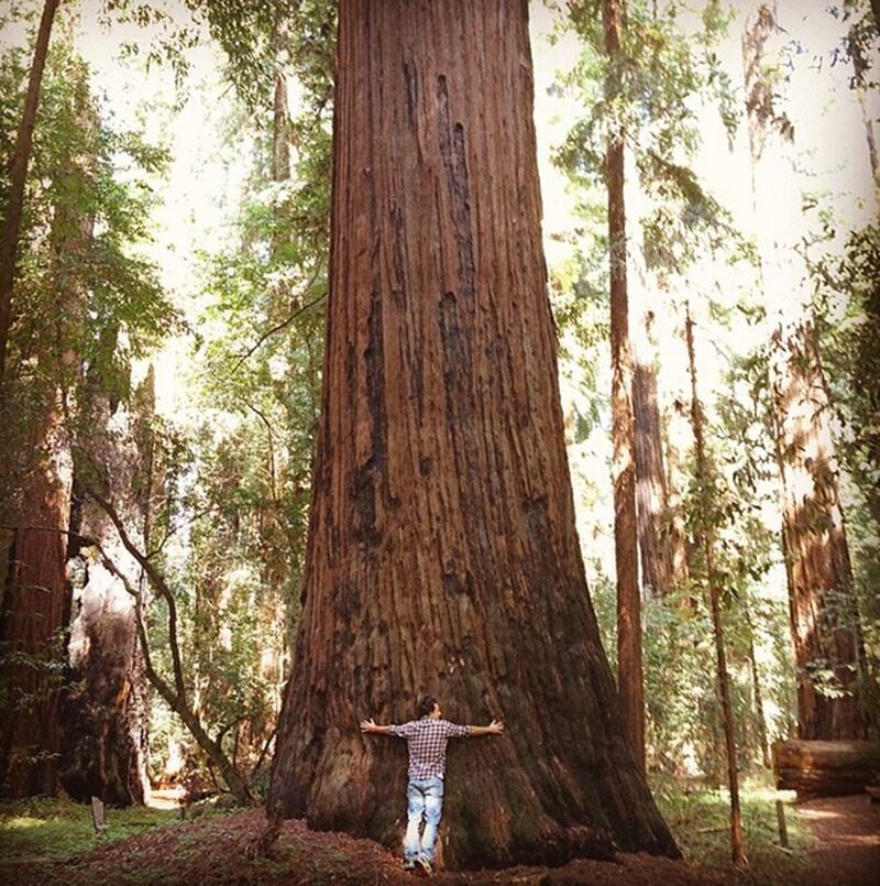 galleries/2014/04/12/oprah-james-franco-the-week-s-best-celebrity-selfies/140411-selfies-jason_mraz_karysm